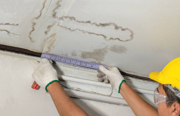 Reliable Mold Remediation contractor in Jobstown, NJ by Water Damage Irwin